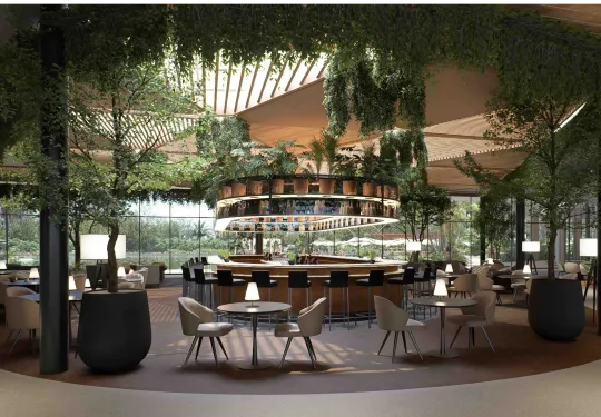 BeSingular Inversiones