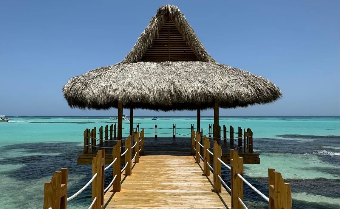 Guía BeSingular para invertir en Punta Cana en PDF
