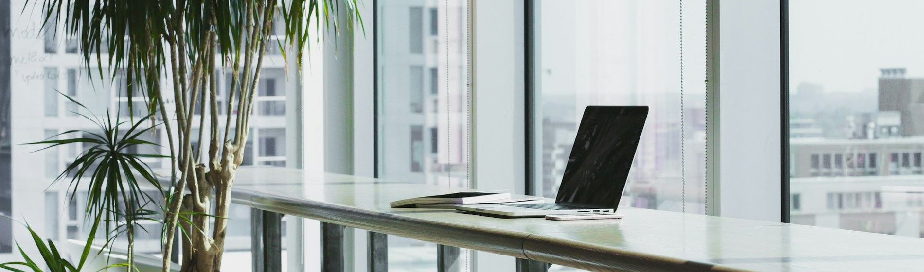 BeSingular Inversiones